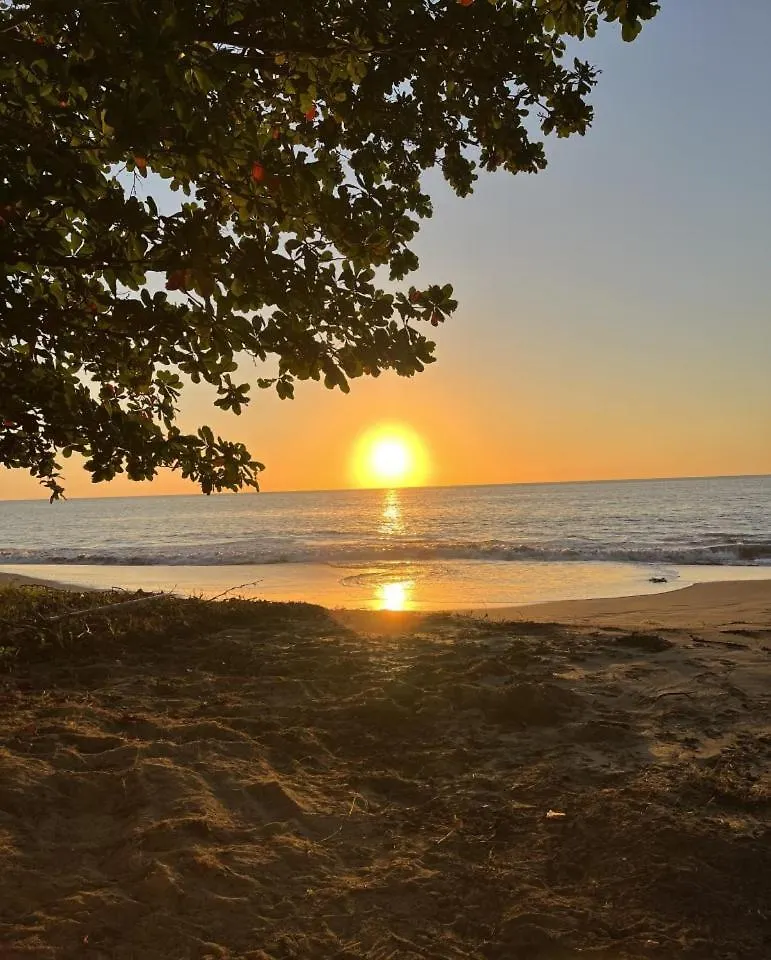 فيلا Coastal Oceanfront Hideaway W 3Br & Private Deck ماياغيز بورتوريكو